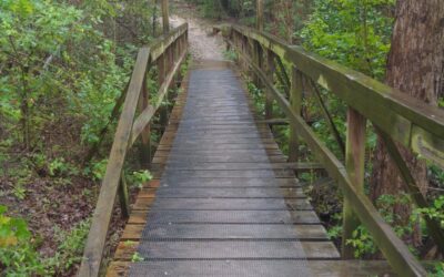 A Traverse Through Waco’s Cameron Park