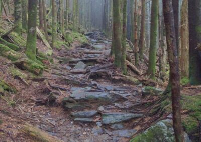 Slippery ride up Mount Mitchell NC