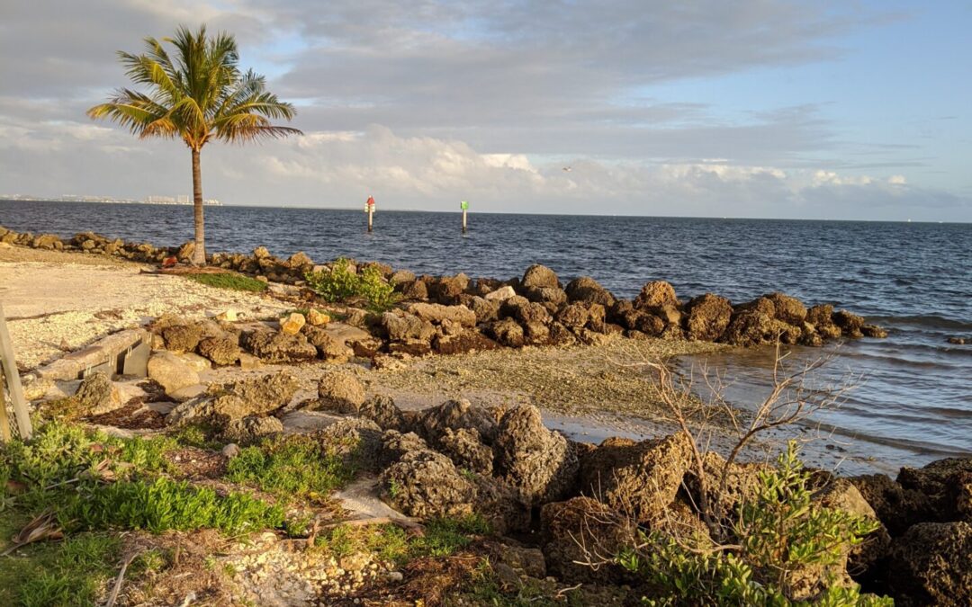 CGYC to Matheson Hammock