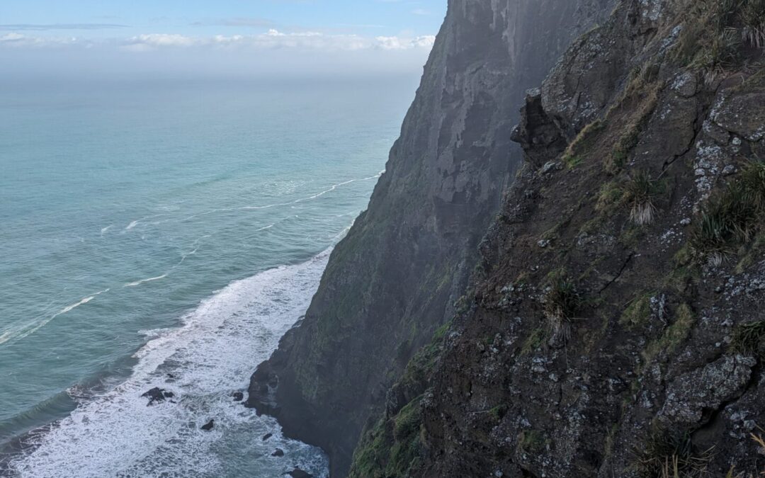 Could Mercer Bay NZ be my Favorite Hike of All-Time?