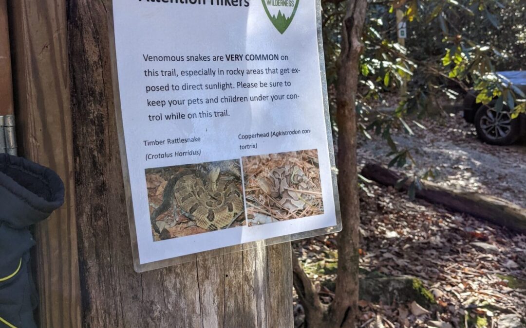 Twin Peaks and Rattlesnakes