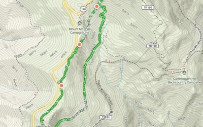 Afternoon Hike at Camp Alice to Mount Mitchell Summit Trail