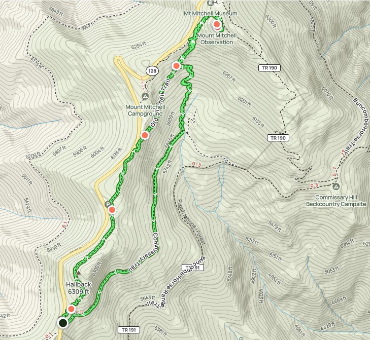 Afternoon Hike at Camp Alice to Mount Mitchell Summit Trail