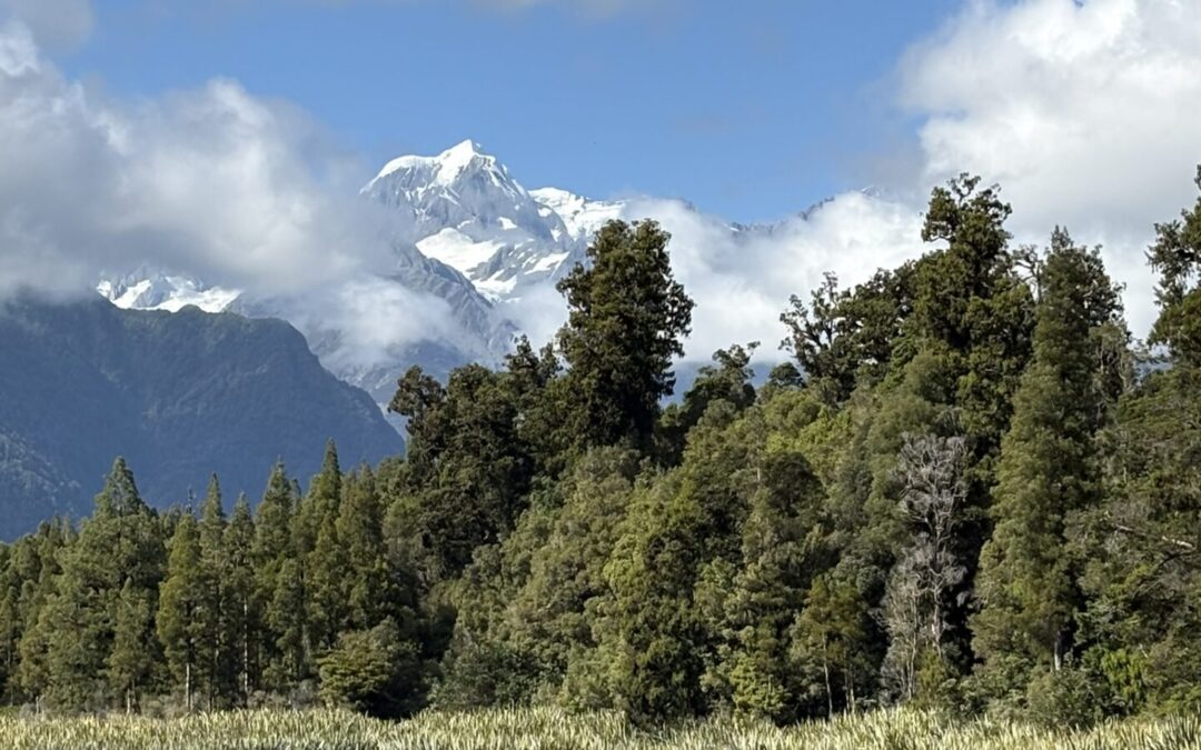 Lake Matheson: The Mirror That Blinked (And I Was Looking the Wrong Way)