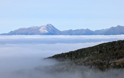 Brod Bay to Mount Luxmore: How I Accidentally Humbled a Boatload of Millennials (And Then Kept Walking)