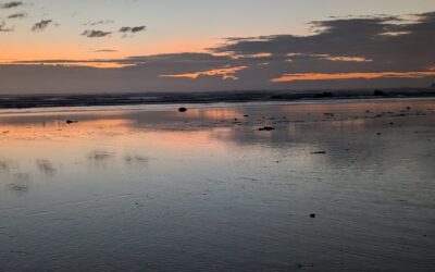 Sumner Beach at Sunrise, Then the Stairs That Will End You (In the Best Way)