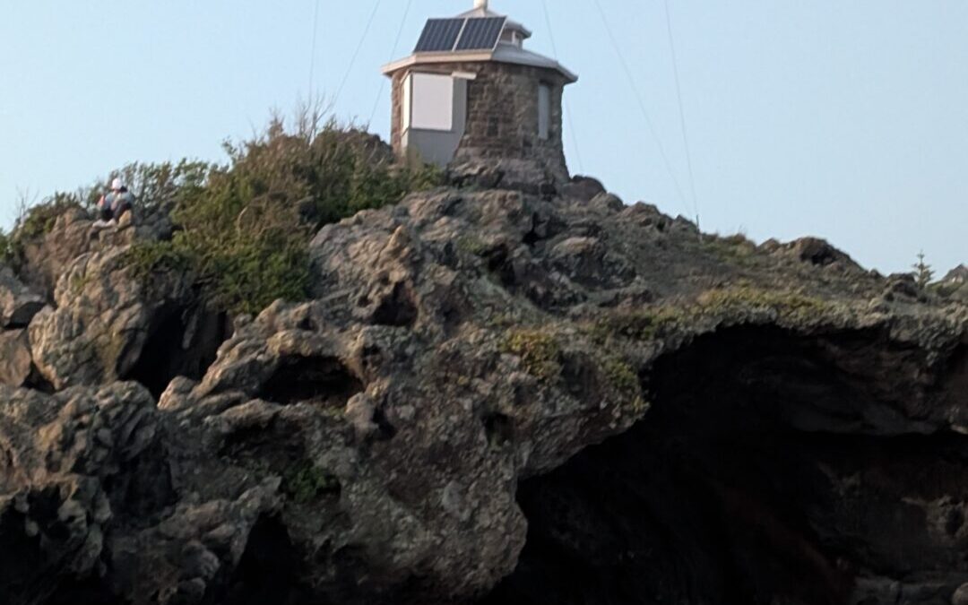 Godley Head, Christchurch: A Coastal Walk With a Working Lighthouse and a WWII Backstory